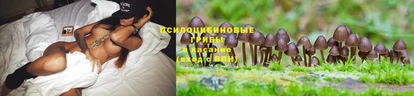 таблы Зеленодольск