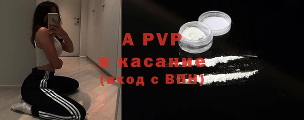 PSILOCYBIN Инсар