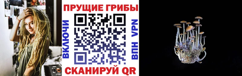 Псилоцибиновые грибы ЛСД  Купить закладки  Кирово-Чепецк 